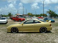 gold integra
